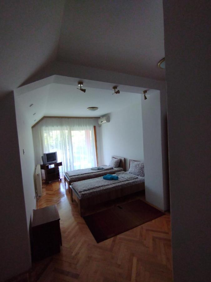Vila Marko Niska Banja Exterior photo